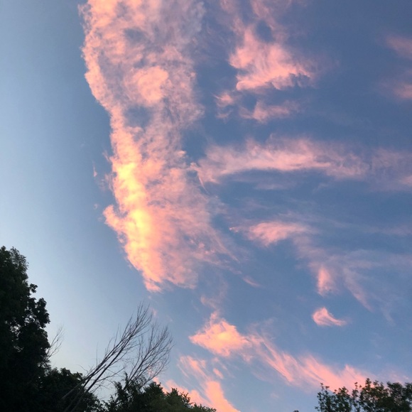 Meet your Posher, Josh - Picture 1 of 1